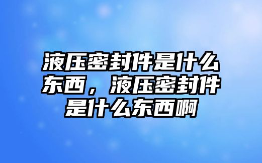 液壓密封件是什么東西，液壓密封件是什么東西啊