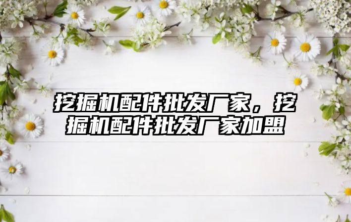 挖掘機配件批發(fā)廠家，挖掘機配件批發(fā)廠家加盟