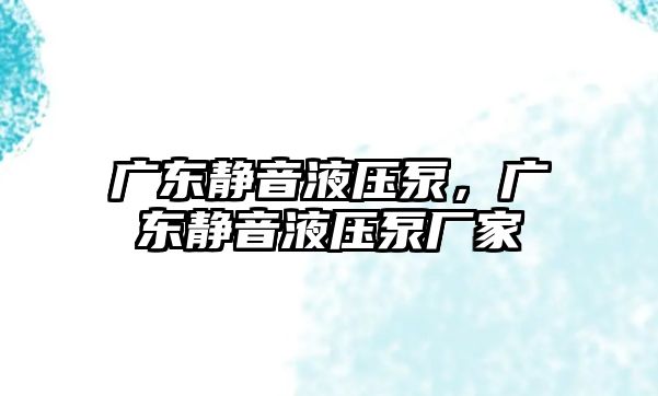 廣東靜音液壓泵，廣東靜音液壓泵廠家