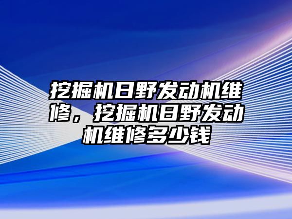 挖掘機日野發(fā)動機維修，挖掘機日野發(fā)動機維修多少錢