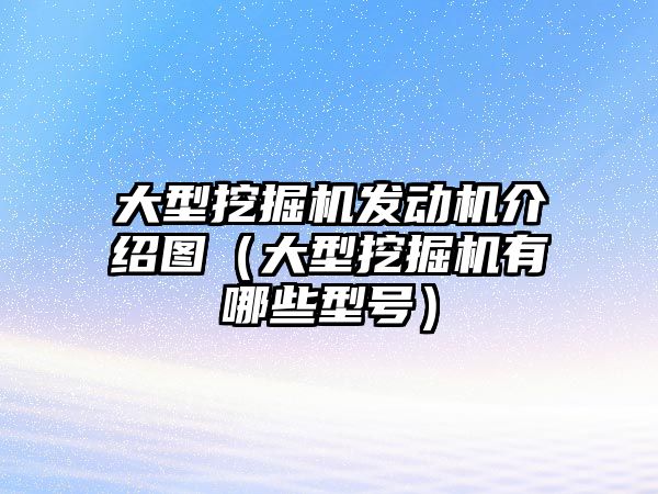 大型挖掘機發(fā)動機介紹圖（大型挖掘機有哪些型號）