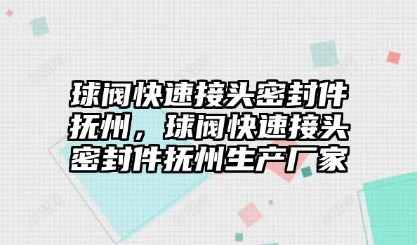 球閥快速接頭密封件撫州，球閥快速接頭密封件撫州生產(chǎn)廠家