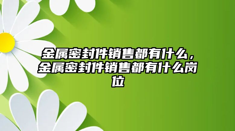 金屬密封件銷售都有什么，金屬密封件銷售都有什么崗位