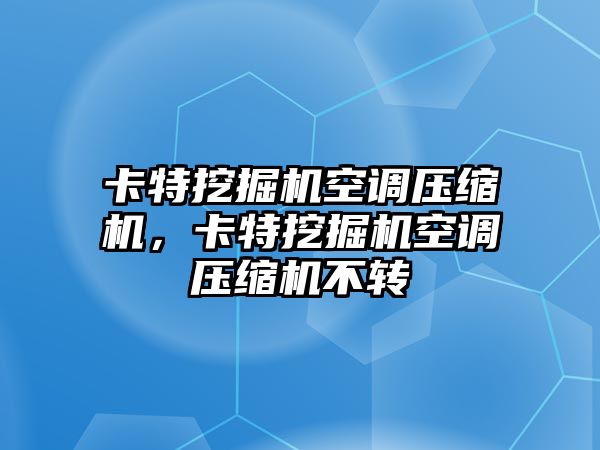 卡特挖掘機(jī)空調(diào)壓縮機(jī)，卡特挖掘機(jī)空調(diào)壓縮機(jī)不轉(zhuǎn)