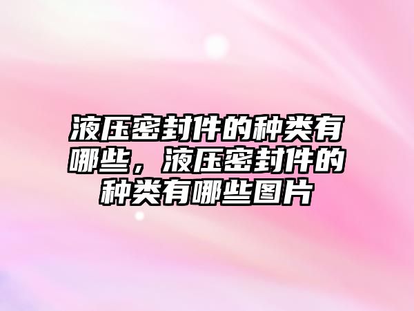 液壓密封件的種類有哪些，液壓密封件的種類有哪些圖片