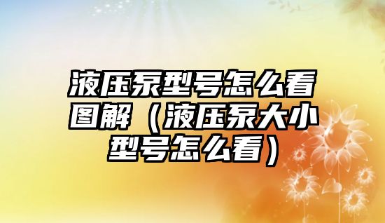 液壓泵型號怎么看圖解（液壓泵大小型號怎么看）