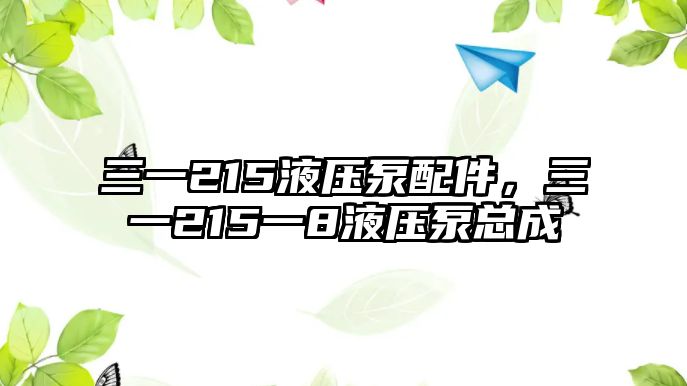 三一215液壓泵配件，三一215一8液壓泵總成