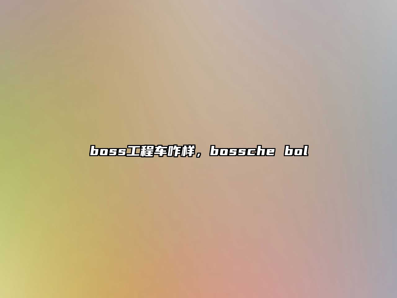 boss工程車(chē)咋樣，bossche bol