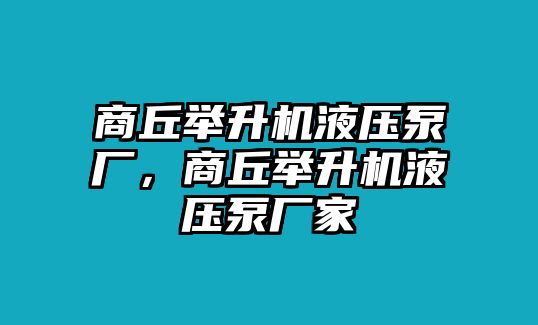 商丘舉升機(jī)液壓泵廠，商丘舉升機(jī)液壓泵廠家