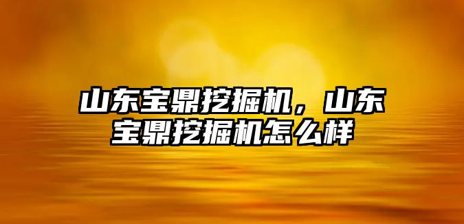 山東寶鼎挖掘機，山東寶鼎挖掘機怎么樣