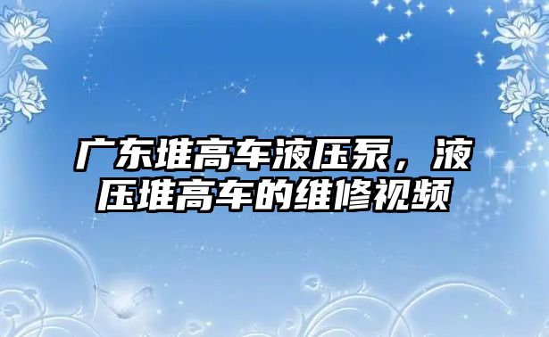 廣東堆高車液壓泵，液壓堆高車的維修視頻