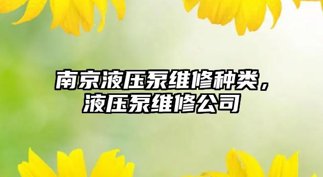 南京液壓泵維修種類，液壓泵維修公司