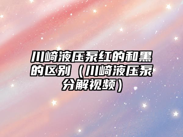 川崎液壓泵紅的和黑的區(qū)別（川崎液壓泵分解視頻）