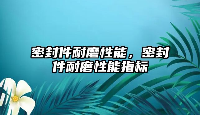 密封件耐磨性能，密封件耐磨性能指標(biāo)