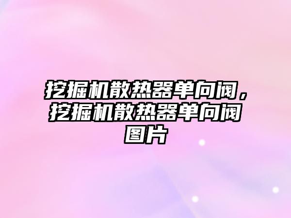 挖掘機散熱器單向閥，挖掘機散熱器單向閥圖片