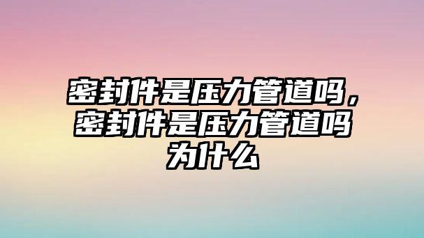 密封件是壓力管道嗎，密封件是壓力管道嗎為什么