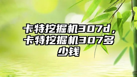 卡特挖掘機307d，卡特挖掘機307多少錢