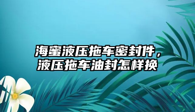 海蜜液壓拖車密封件，液壓拖車油封怎樣換