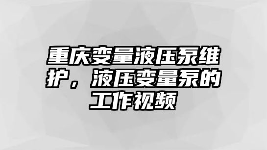 重慶變量液壓泵維護，液壓變量泵的工作視頻