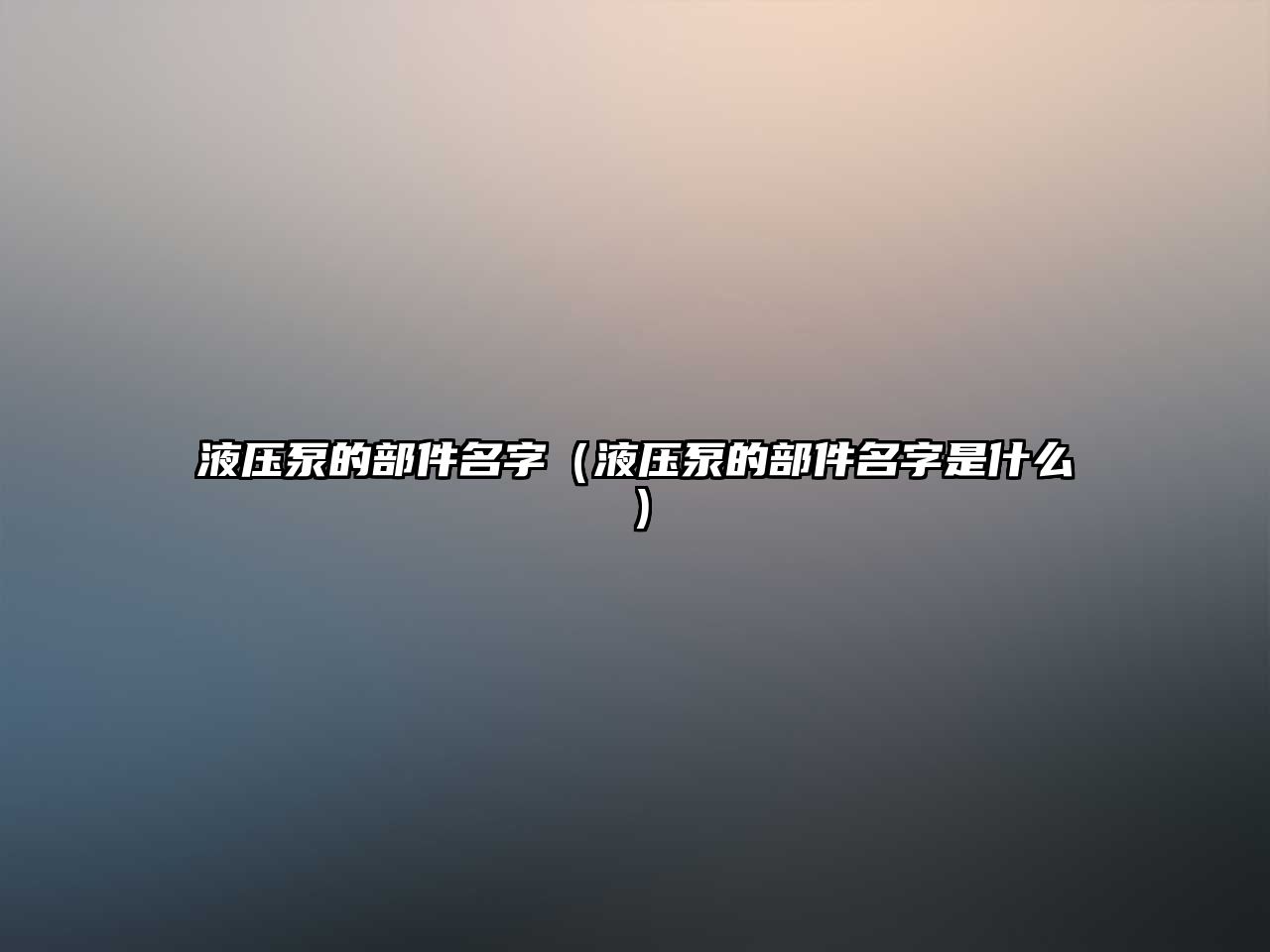 液壓泵的部件名字（液壓泵的部件名字是什么）