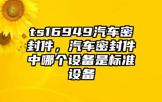 ts16949汽車密封件，汽車密封件中哪個(gè)設(shè)備是標(biāo)準(zhǔn)設(shè)備