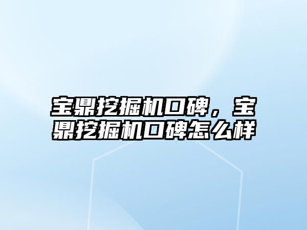 寶鼎挖掘機口碑，寶鼎挖掘機口碑怎么樣