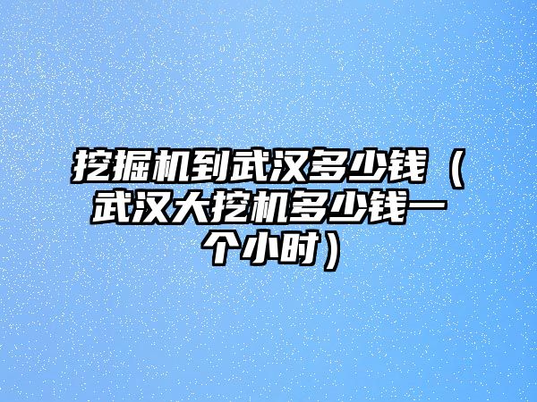 挖掘機(jī)到武漢多少錢（武漢大挖機(jī)多少錢一個(gè)小時(shí)）