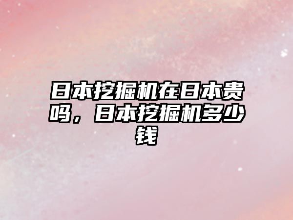 日本挖掘機在日本貴嗎，日本挖掘機多少錢