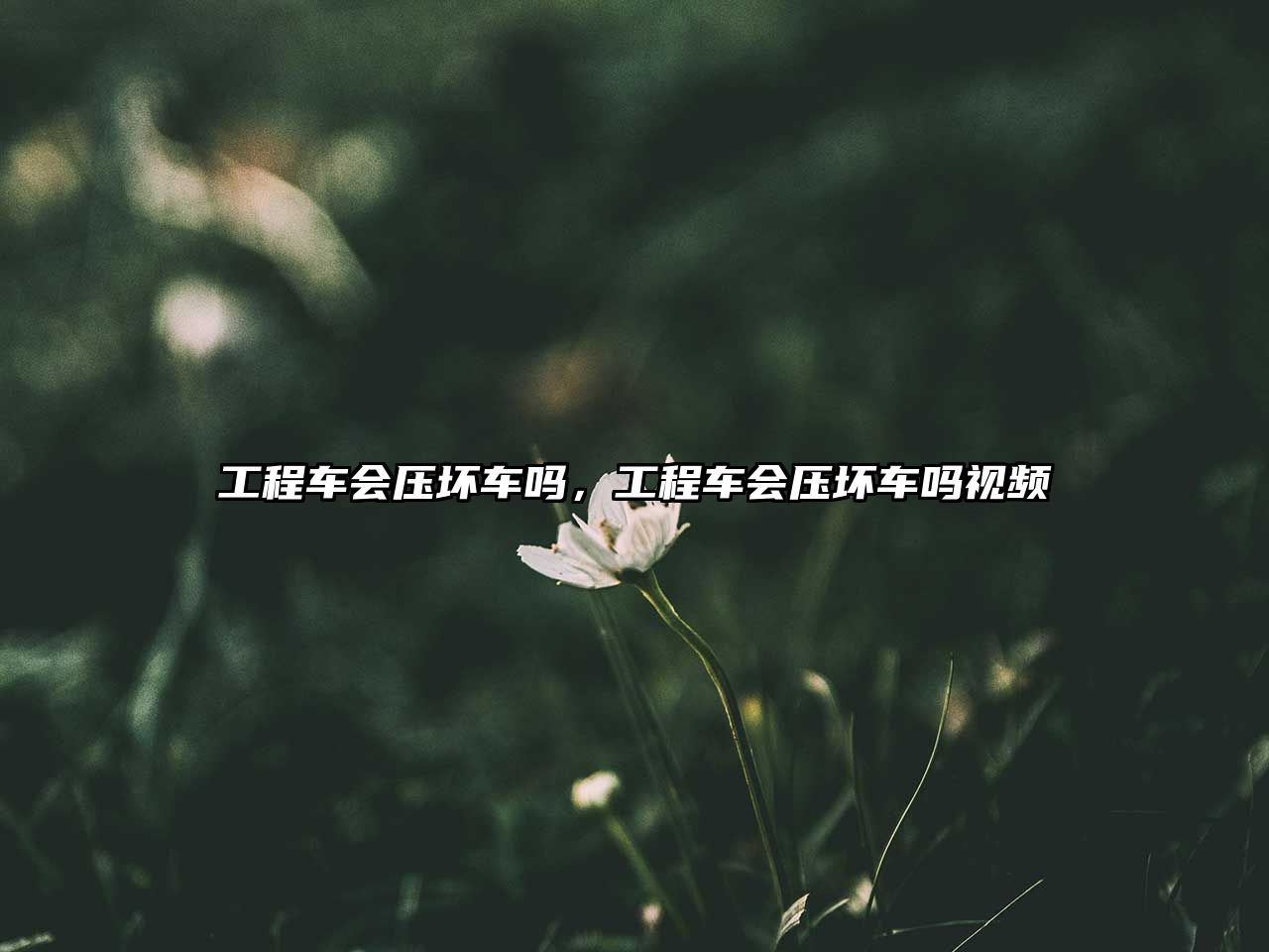 工程車(chē)會(huì)壓壞車(chē)嗎，工程車(chē)會(huì)壓壞車(chē)嗎視頻