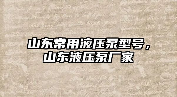 山東常用液壓泵型號，山東液壓泵廠家