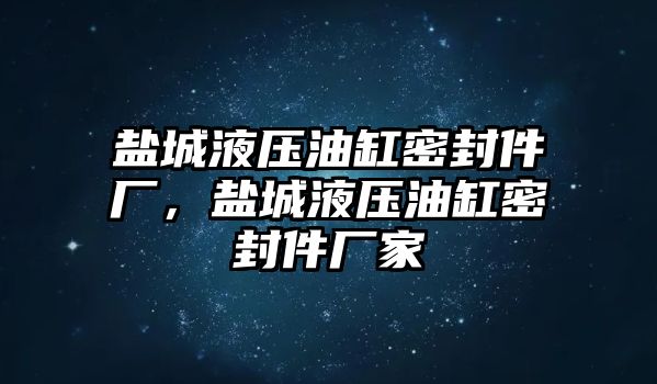 鹽城液壓油缸密封件廠，鹽城液壓油缸密封件廠家