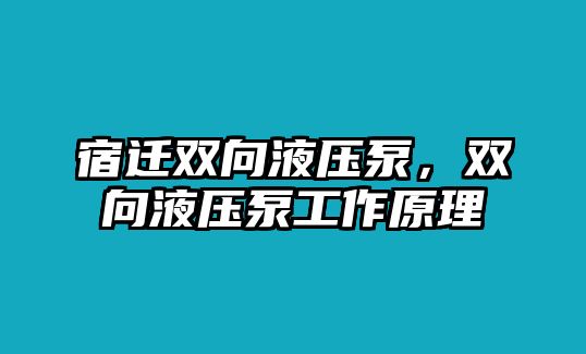 宿遷雙向液壓泵，雙向液壓泵工作原理