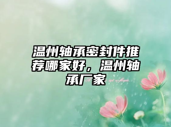 溫州軸承密封件推薦哪家好，溫州軸承廠家