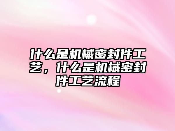 什么是機(jī)械密封件工藝，什么是機(jī)械密封件工藝流程