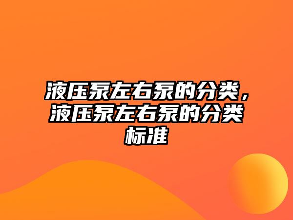 液壓泵左右泵的分類，液壓泵左右泵的分類標(biāo)準(zhǔn)