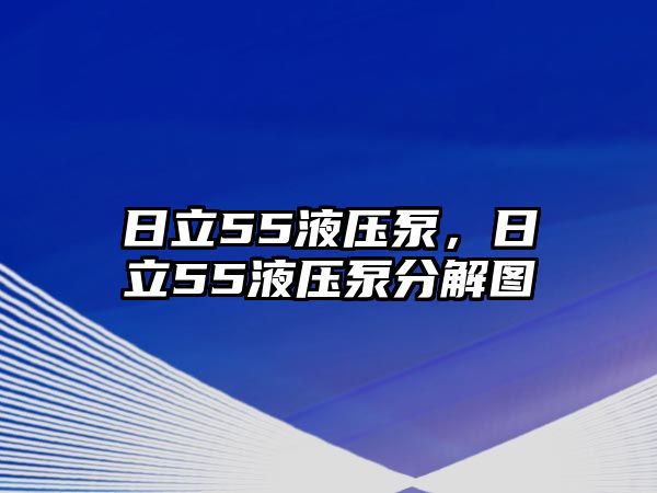 日立55液壓泵，日立55液壓泵分解圖