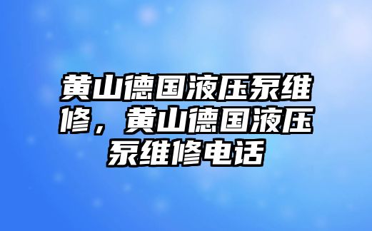 黃山德國液壓泵維修，黃山德國液壓泵維修電話