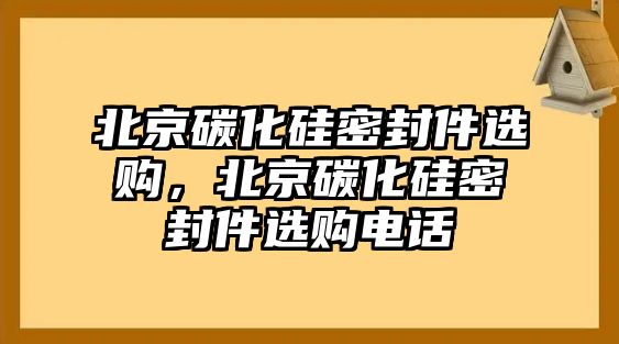 北京碳化硅密封件選購(gòu)，北京碳化硅密封件選購(gòu)電話