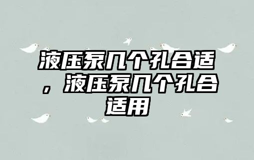 液壓泵幾個孔合適，液壓泵幾個孔合適用