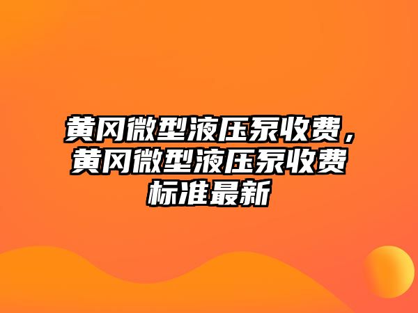 黃岡微型液壓泵收費(fèi)，黃岡微型液壓泵收費(fèi)標(biāo)準(zhǔn)最新