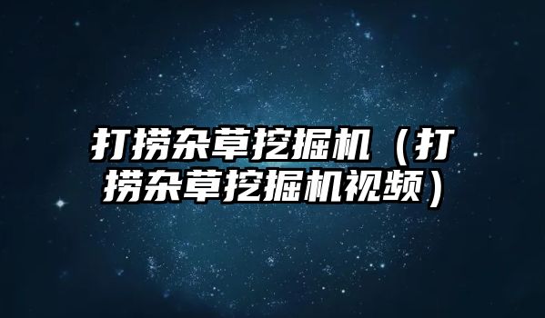 打撈雜草挖掘機（打撈雜草挖掘機視頻）