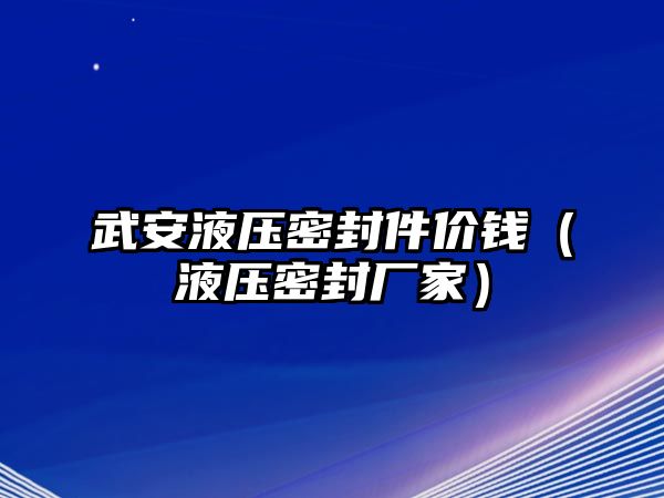 武安液壓密封件價錢（液壓密封廠家）