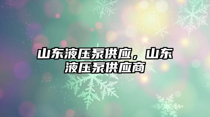 山東液壓泵供應，山東液壓泵供應商