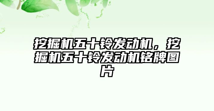 挖掘機五十鈴發(fā)動機，挖掘機五十鈴發(fā)動機銘牌圖片