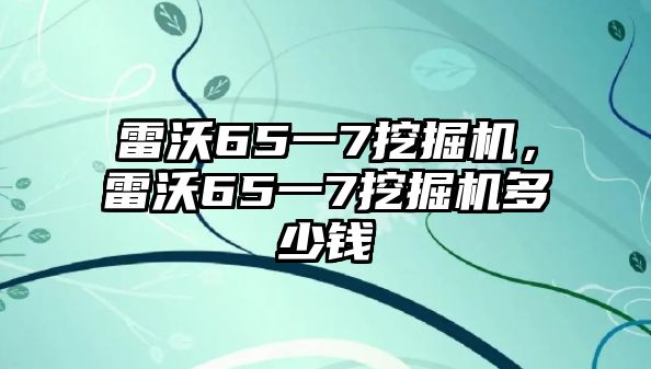 雷沃65一7挖掘機(jī)，雷沃65一7挖掘機(jī)多少錢