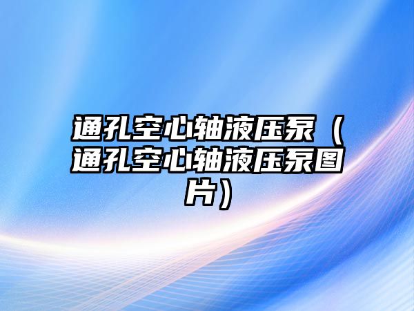 通孔空心軸液壓泵（通孔空心軸液壓泵圖片）