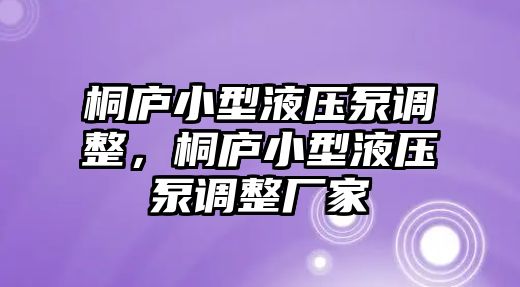 桐廬小型液壓泵調(diào)整，桐廬小型液壓泵調(diào)整廠家