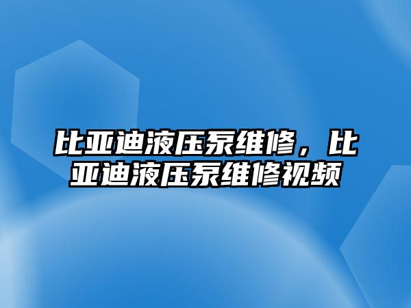 比亞迪液壓泵維修，比亞迪液壓泵維修視頻