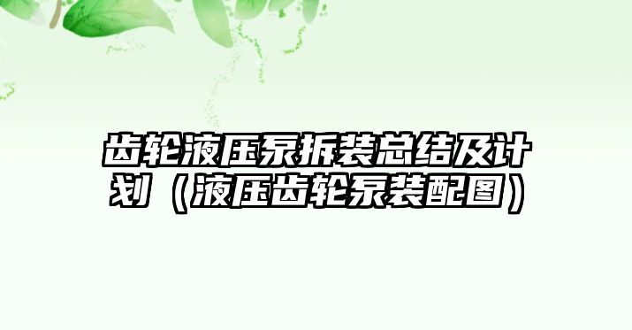 齒輪液壓泵拆裝總結(jié)及計(jì)劃（液壓齒輪泵裝配圖）