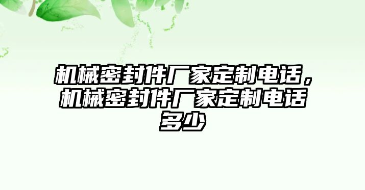 機(jī)械密封件廠家定制電話，機(jī)械密封件廠家定制電話多少